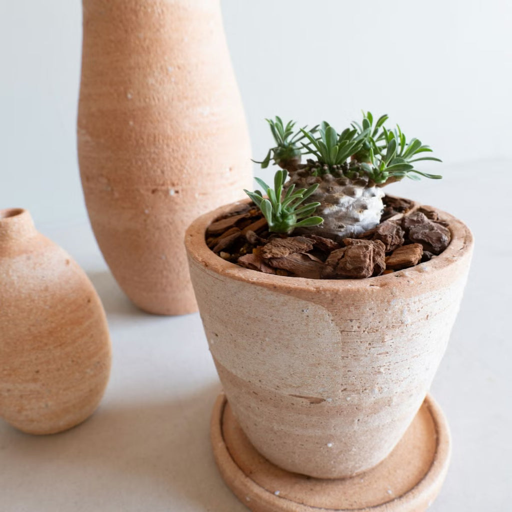 Shigaraki Ware Planter Pot (Size 4) and Saucer Set "HIBI"