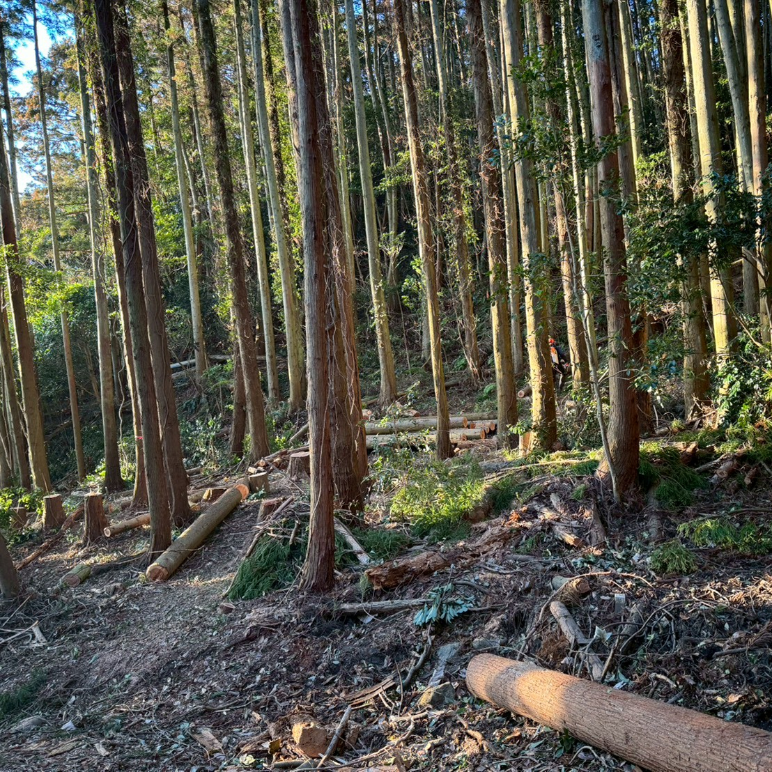 3.11 Recovery Prayer "Salmon Puzzle": An Educational Puzzle Born from Onagawa's Forests and Seas
