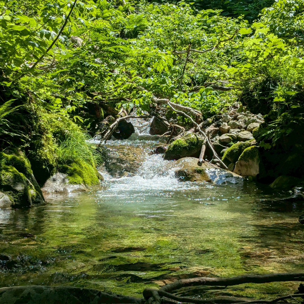 3.11 Recovery Prayer "Salmon Puzzle": An Educational Puzzle Born from Onagawa's Forests and Seas