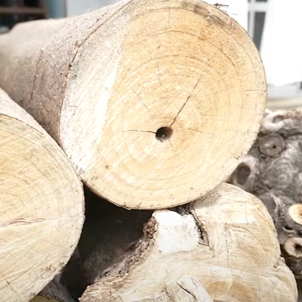 国産桐の米びつ 群馬最後の桐タンス屋が作る