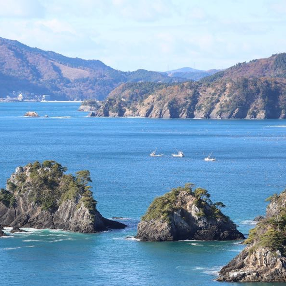 3.11 Recovery Prayer "Salmon Puzzle": An Educational Puzzle Born from Onagawa's Forests and Seas