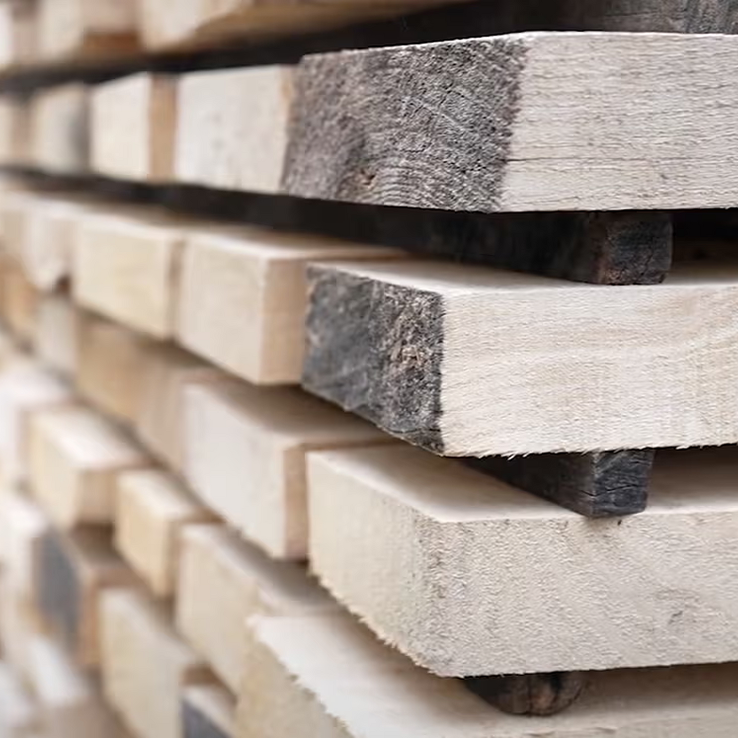 国産桐の米びつ 群馬最後の桐タンス屋が作る