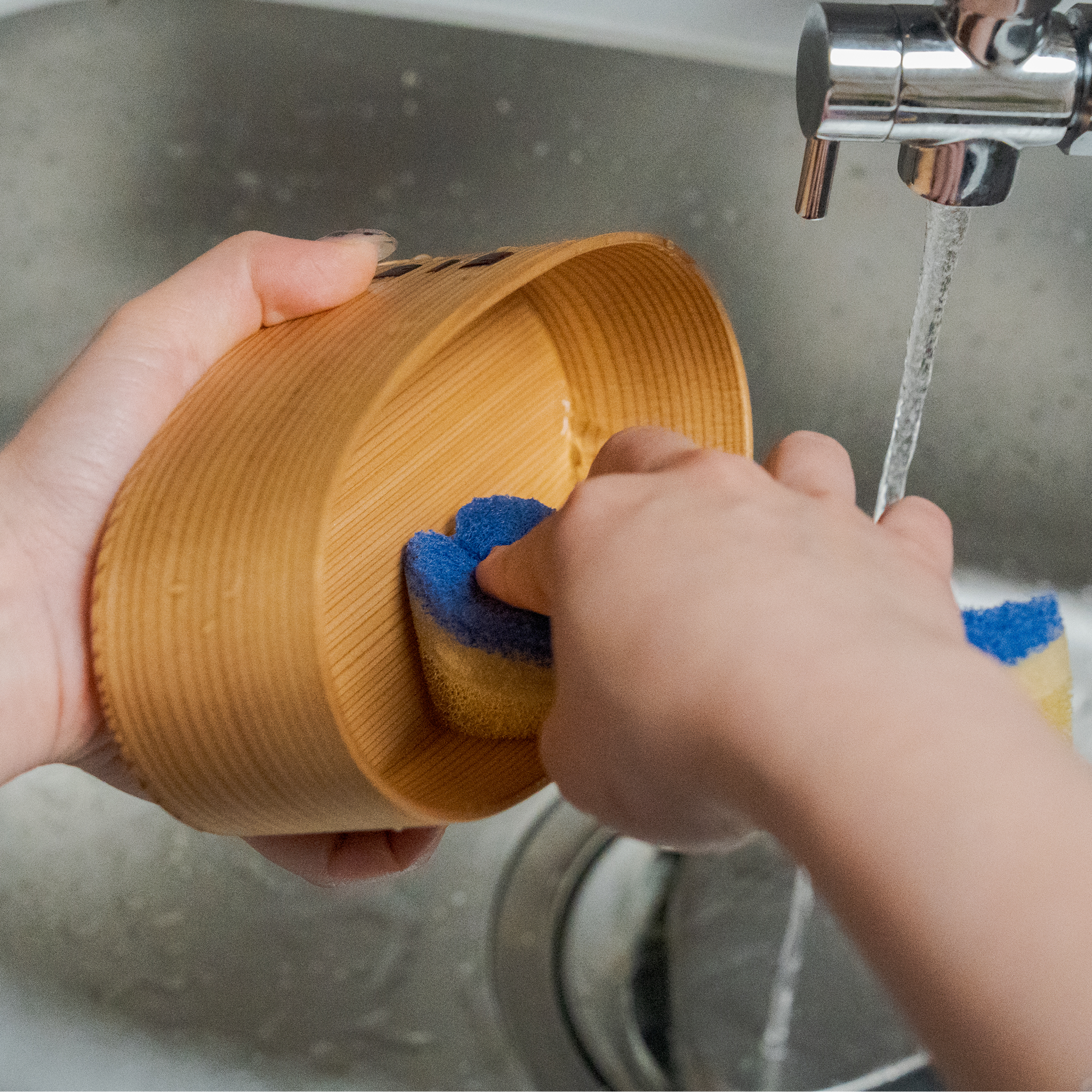 樹齢約100年 国産秋田杉の「こばん弁当箱」 秋田 曲げわっぱ