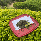酸茶 170年栽培期間農薬不使用、化学肥料不使用 北限の新潟村上茶