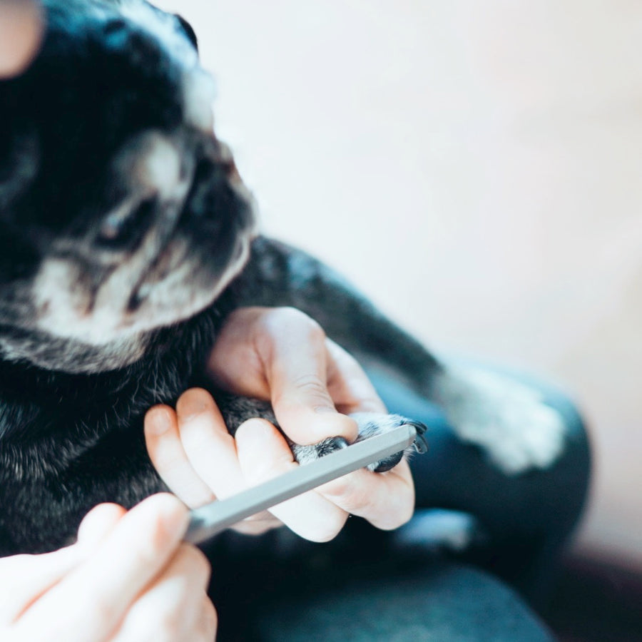 "dogood": The Pet Nail File for Owners and Their Pets