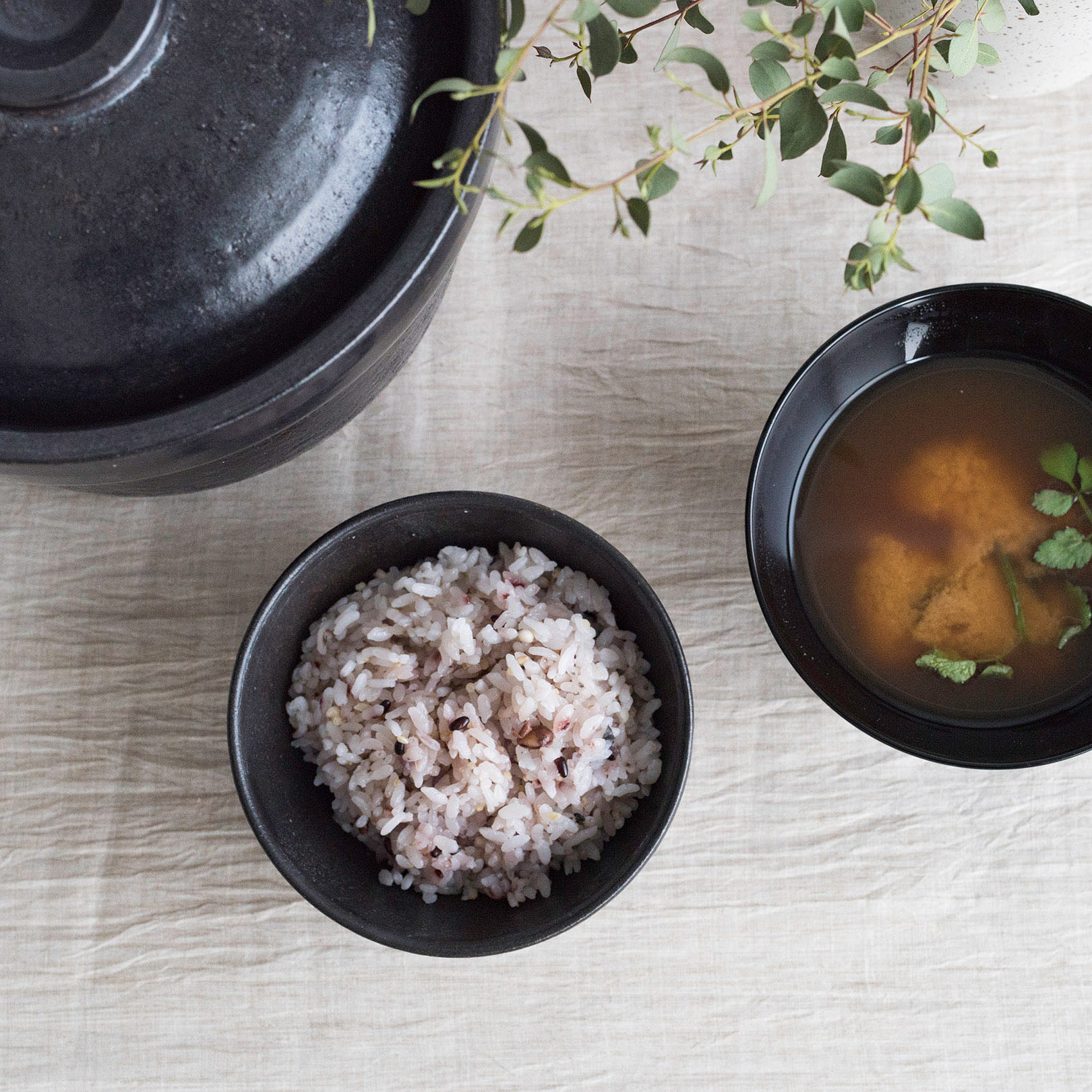 信楽焼 ごはん茶碗