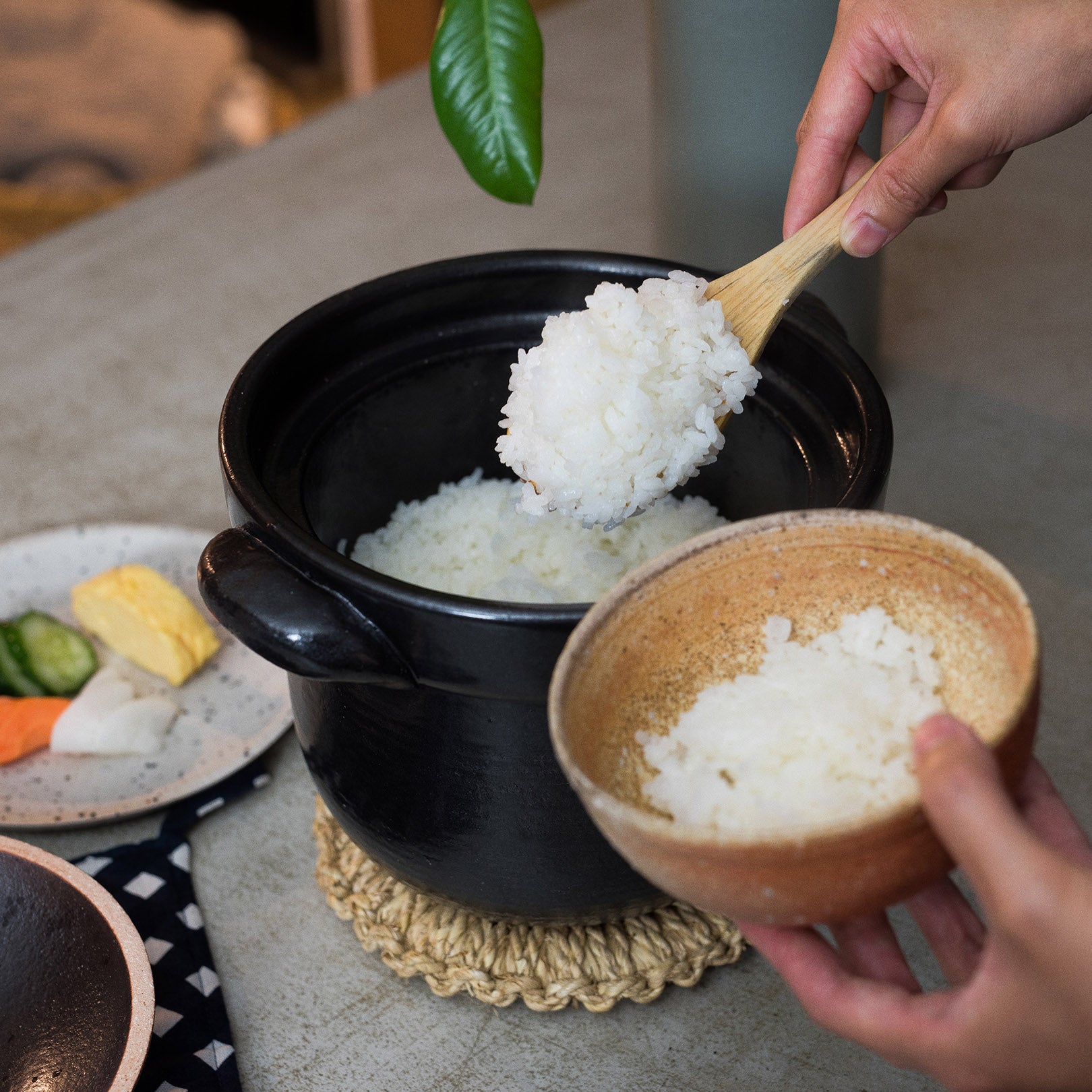 信楽焼 ごはん土鍋 4合炊き