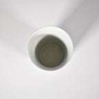 [Kyoto, Kiyomizu-yaki] Beer Cup